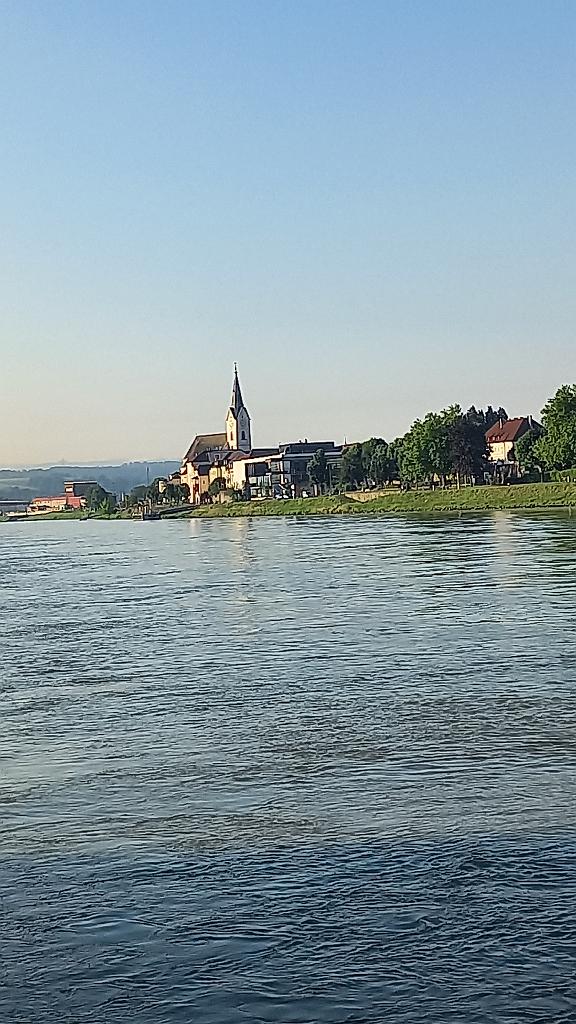 Donau (559)